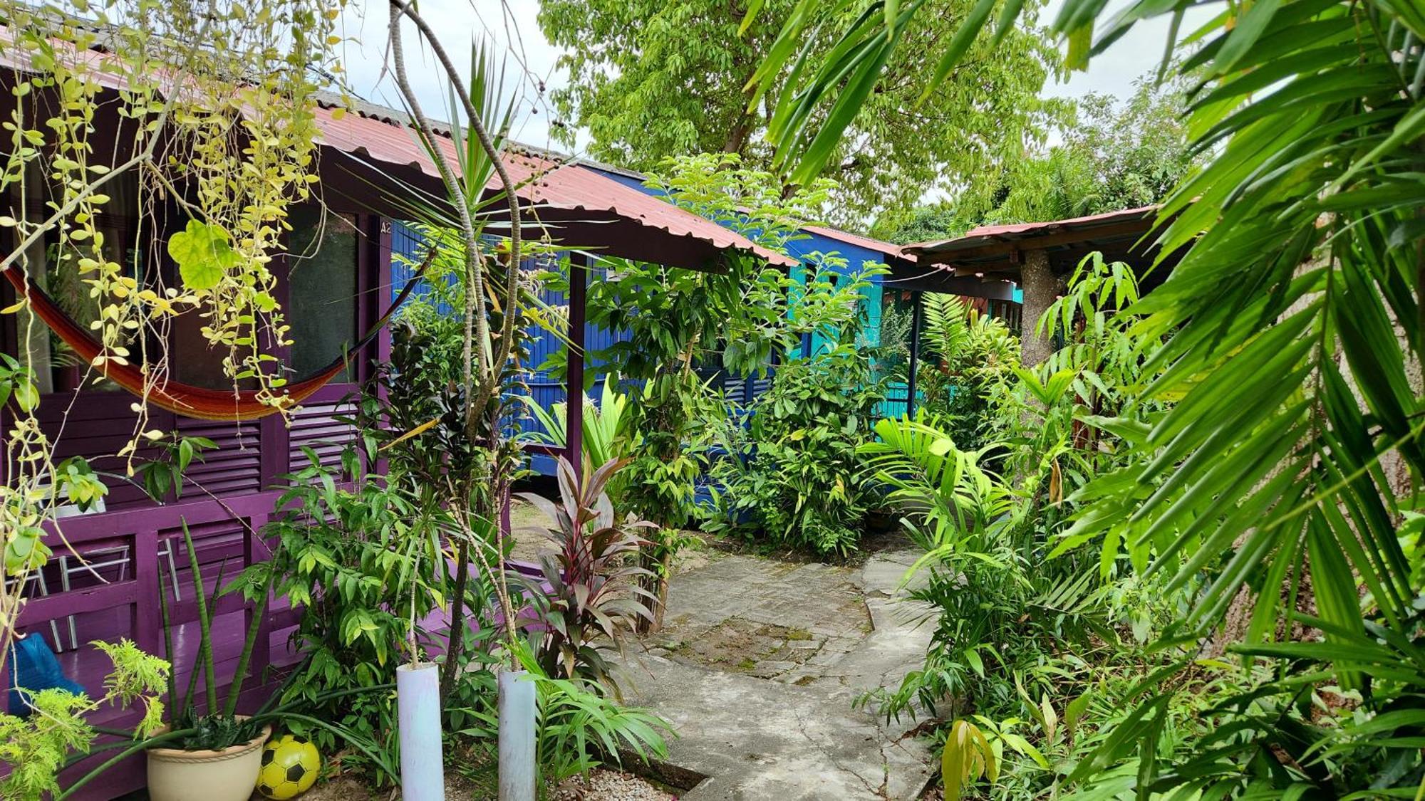 Gecko Guesthouse Pantai Cenang  Exterior photo