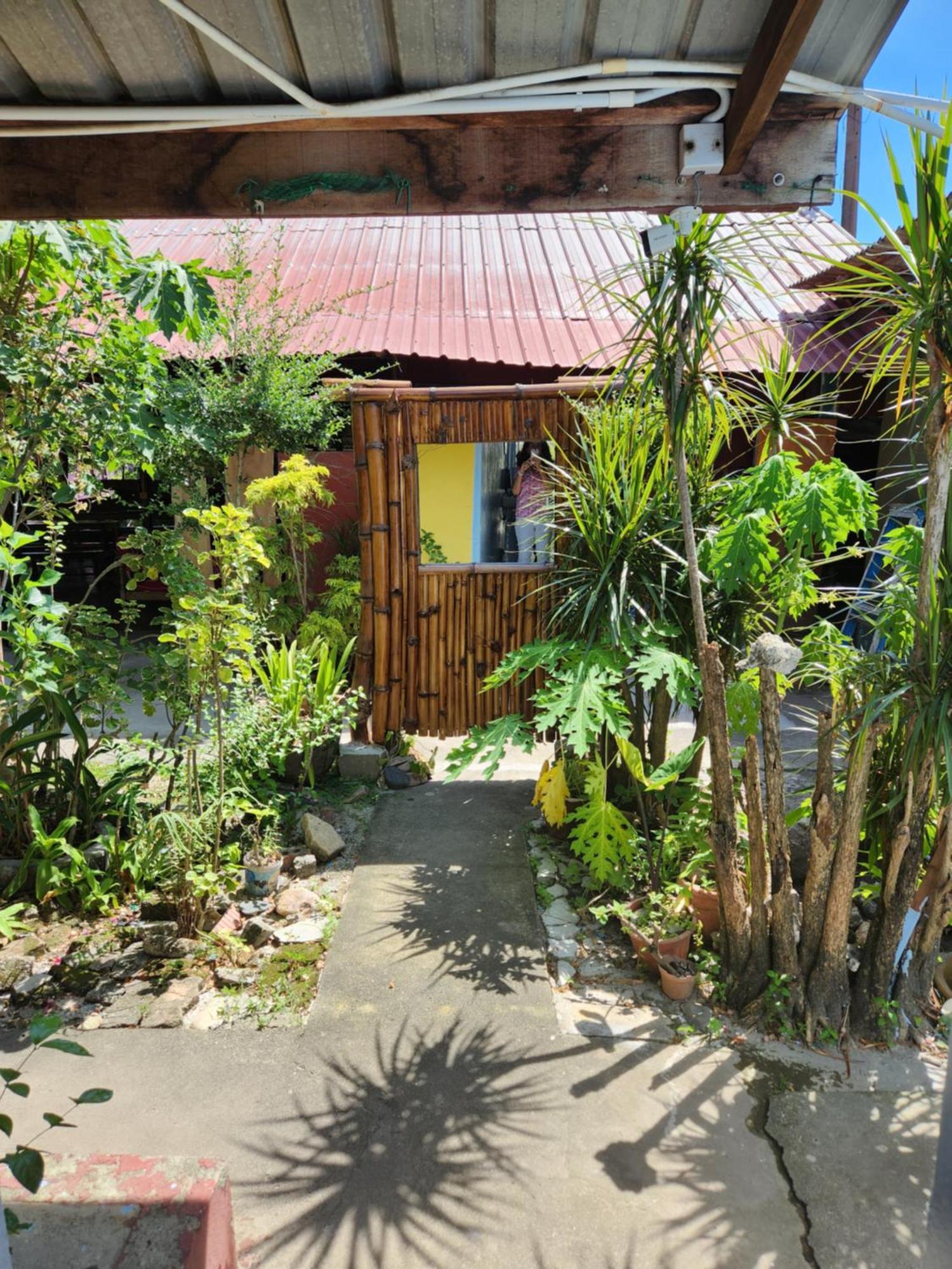 Gecko Guesthouse Pantai Cenang  Exterior photo