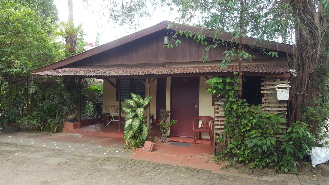 Gecko Guesthouse Pantai Cenang  Exterior photo